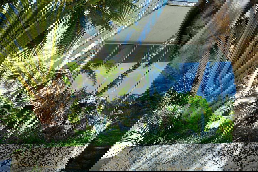 Grove at Grand Bay  photo 3